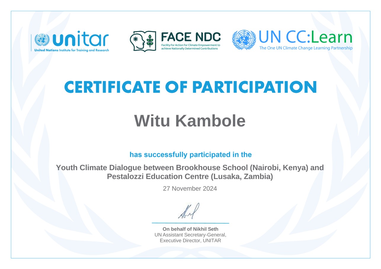 UNITAR Youth Climate Dialogue Certificate